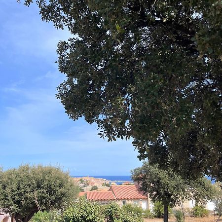 Appartement Rez De Villa LʼÎle-Rousse Kültér fotó