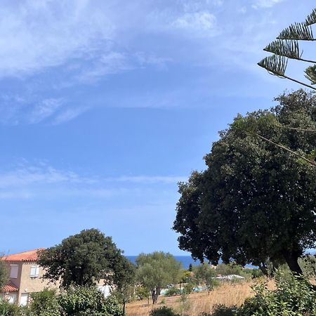 Appartement Rez De Villa LʼÎle-Rousse Kültér fotó