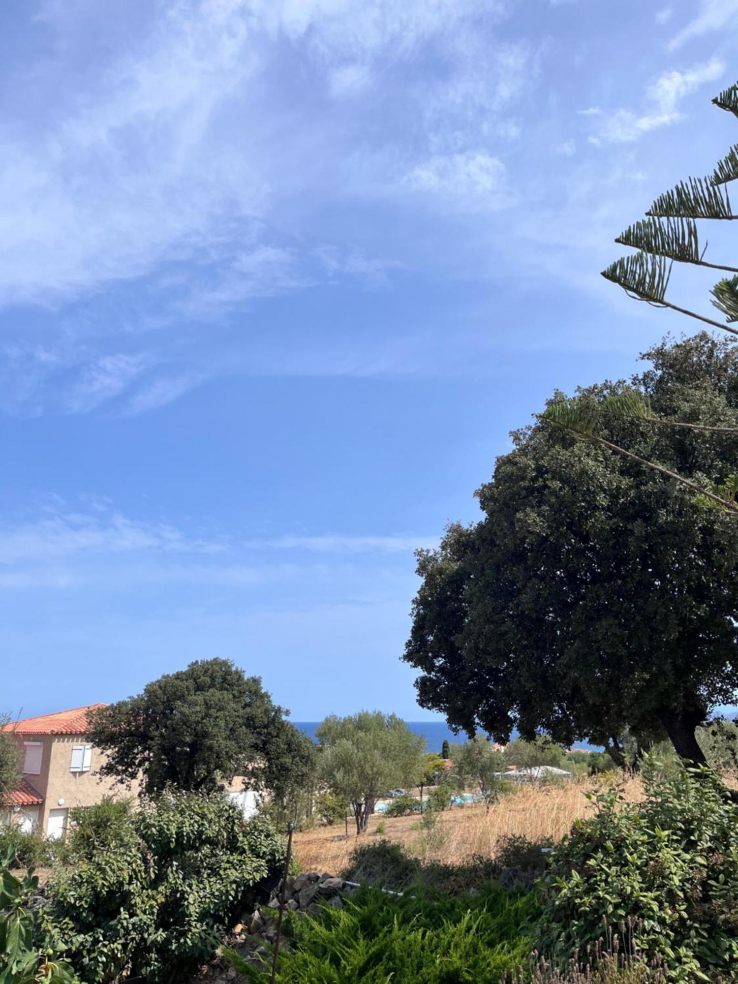 Appartement Rez De Villa LʼÎle-Rousse Kültér fotó